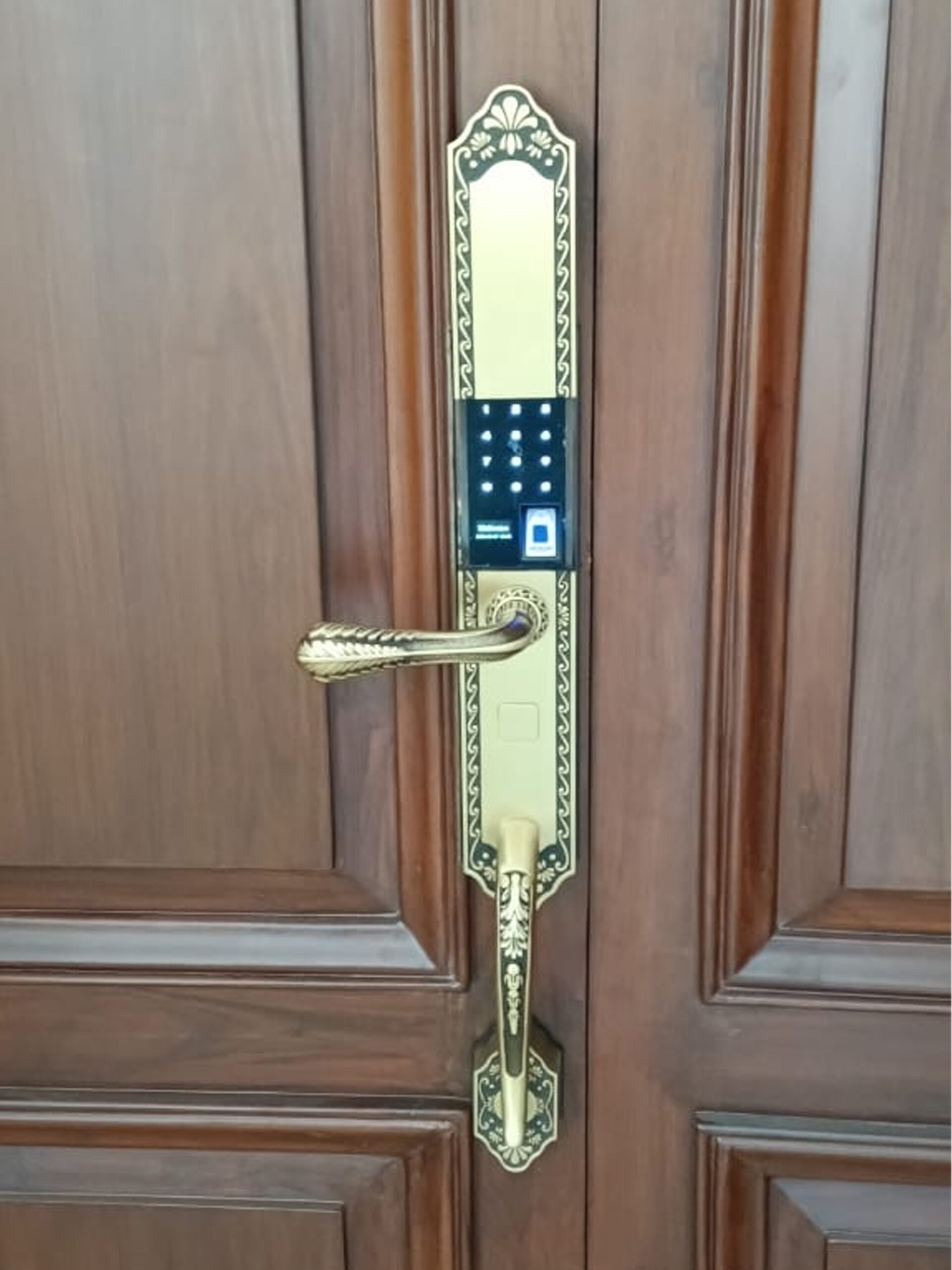 Hyderabad, Telangana