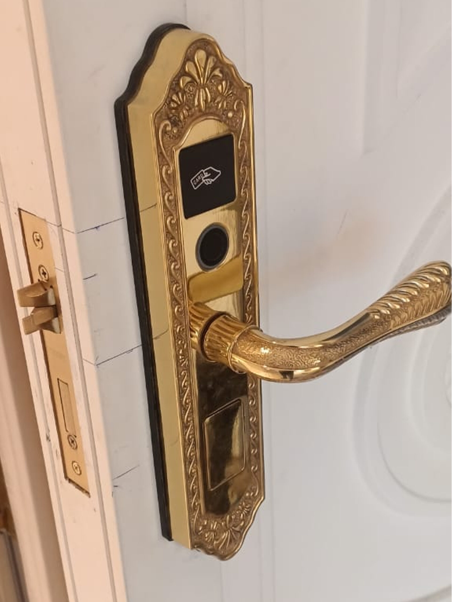 Noida, Uttar Pradesh